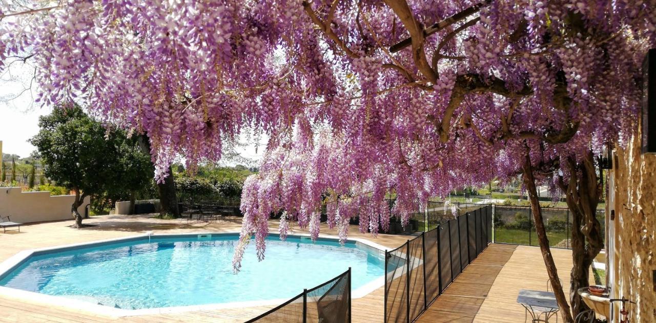 Chateau Montplaisir Charming B&B In Provence Valréas Екстериор снимка