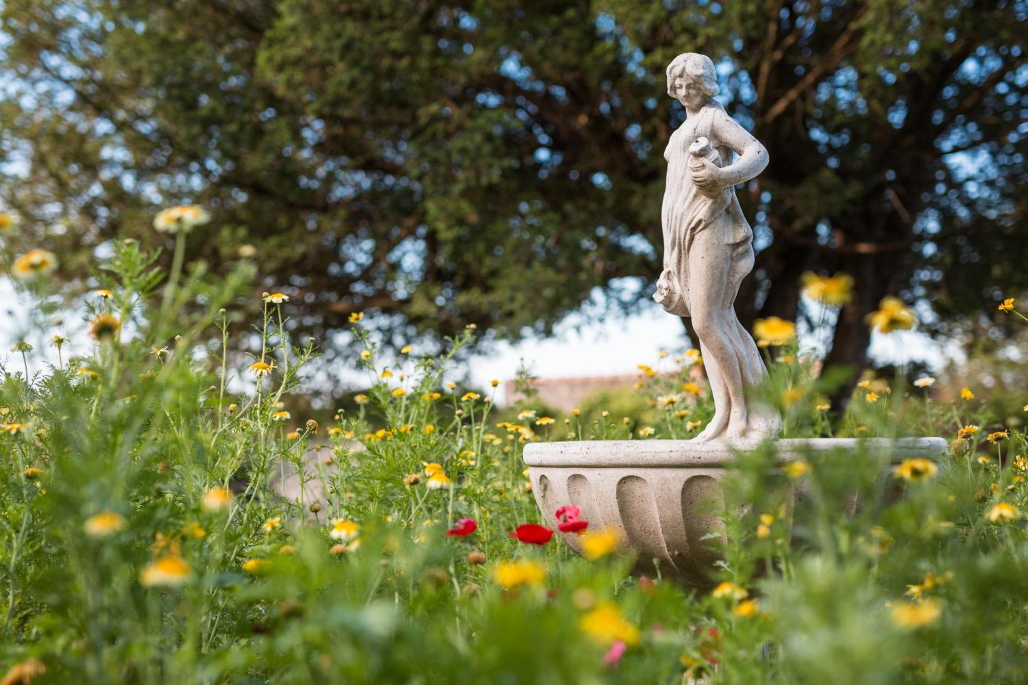 Chateau Montplaisir Charming B&B In Provence Valréas Екстериор снимка