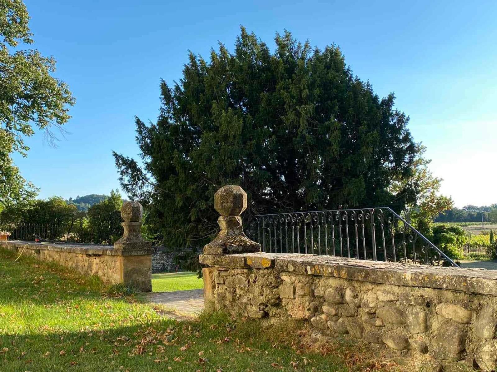 Chateau Montplaisir Charming B&B In Provence Valréas Екстериор снимка